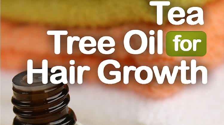 Tea Tree Oil for Hair Growth